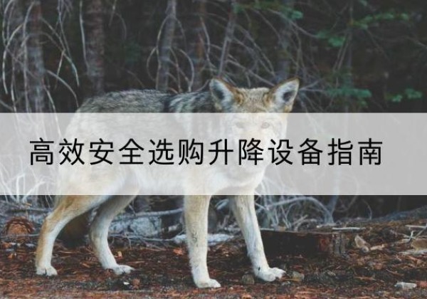阳明升降货梯厂家推荐-*安全选购升降设备指南