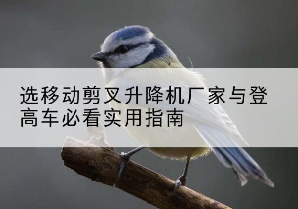 阳明电动升降机厂家-选移动剪叉升降机厂家与登高车必看实用指南
