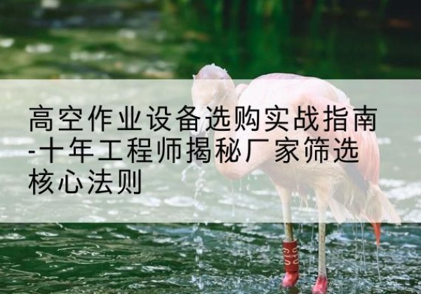 阳明剪叉式升降机厂家-高空作业设备选购实战指南-十年工程师揭秘厂家筛选核心法则